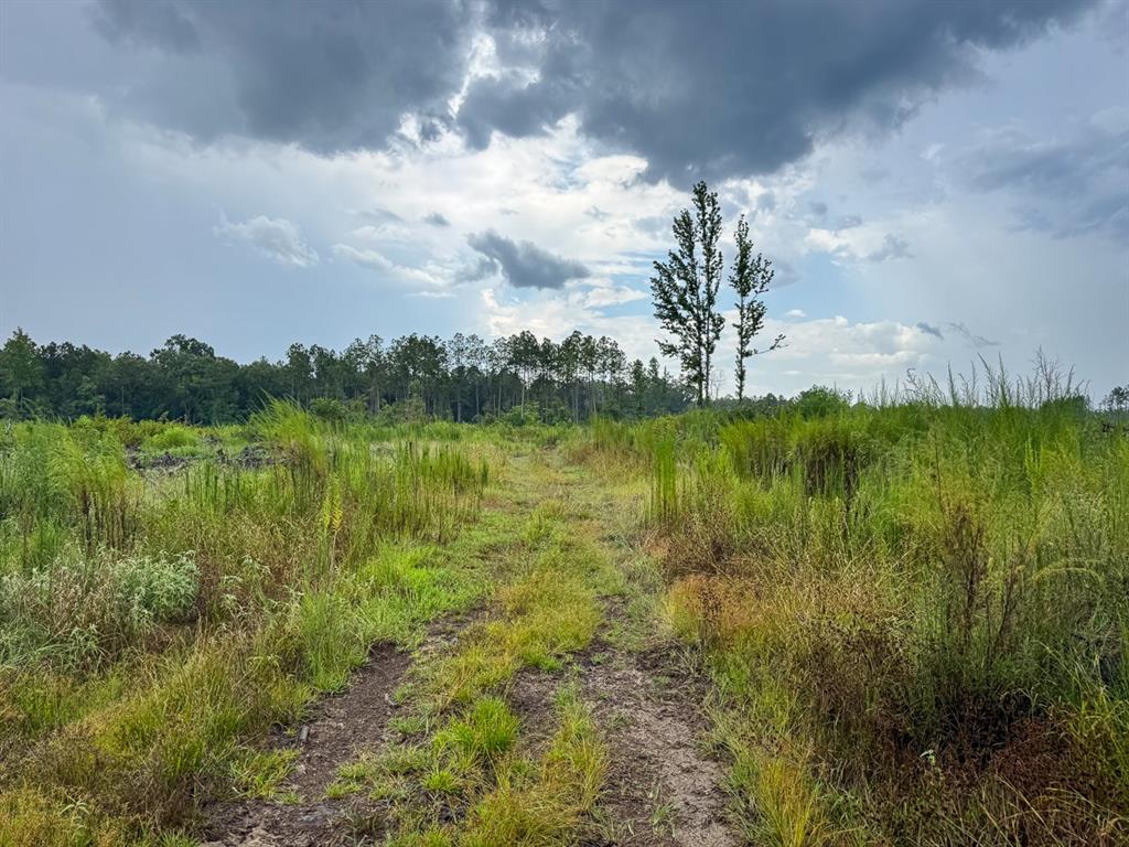T-3 T-3 Kelley Road Jena, LA 71342 - Photo 13 of 21 a view of lake with green space