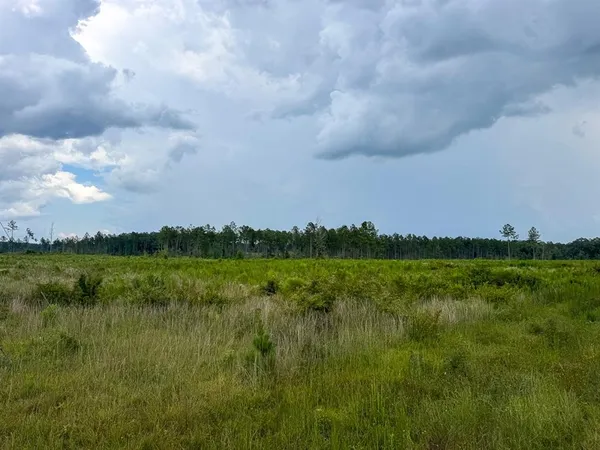 a view of lake with green space