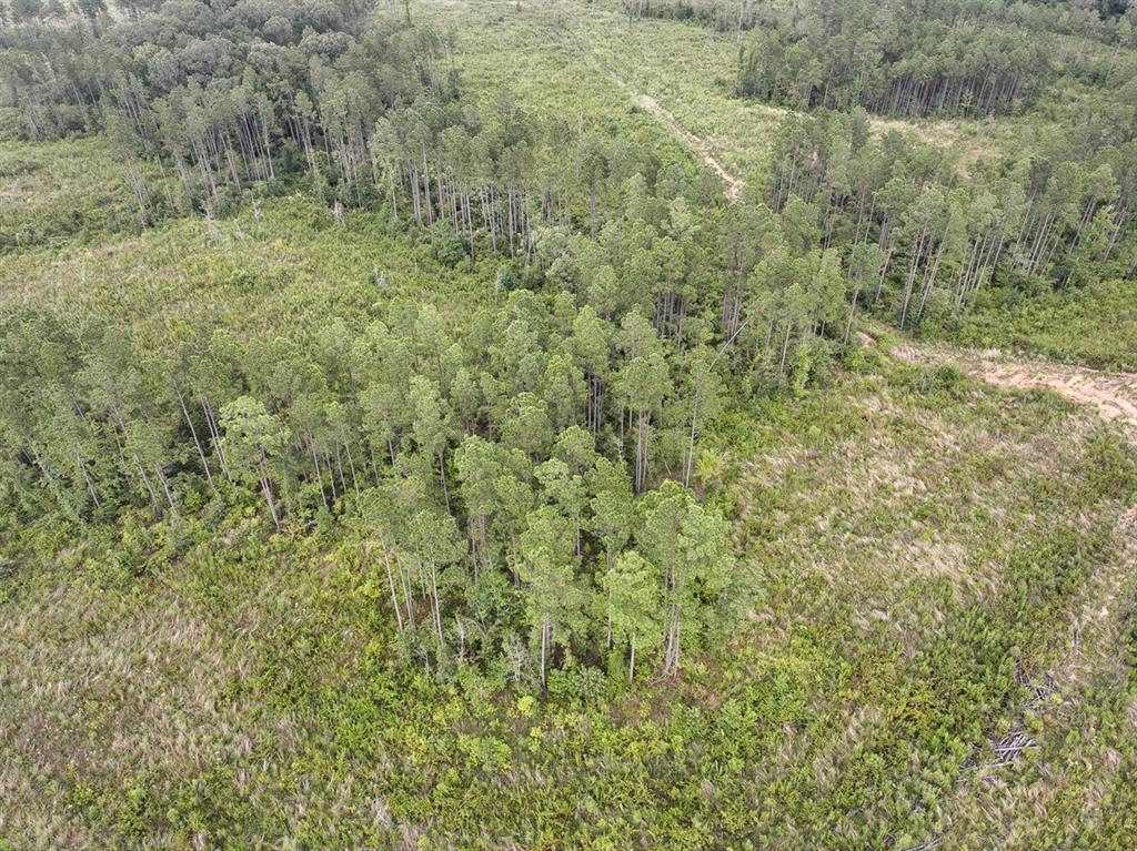T-3 T-3 Kelley Road Jena, LA 71342 - Photo 18 of 21 a view of a forest with a street