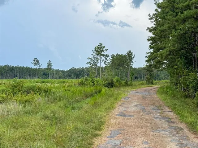 a view of a street with a yard and a fountain