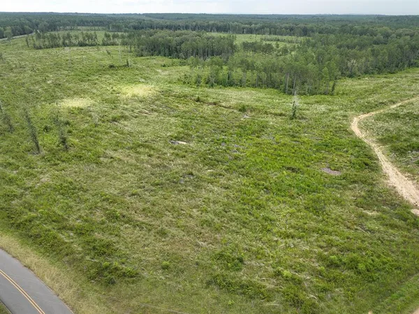 a view of a field with an trees