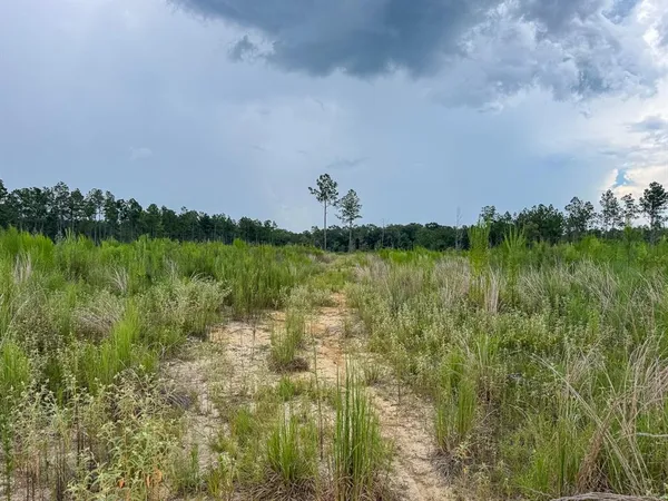 a view of a lake with a yard