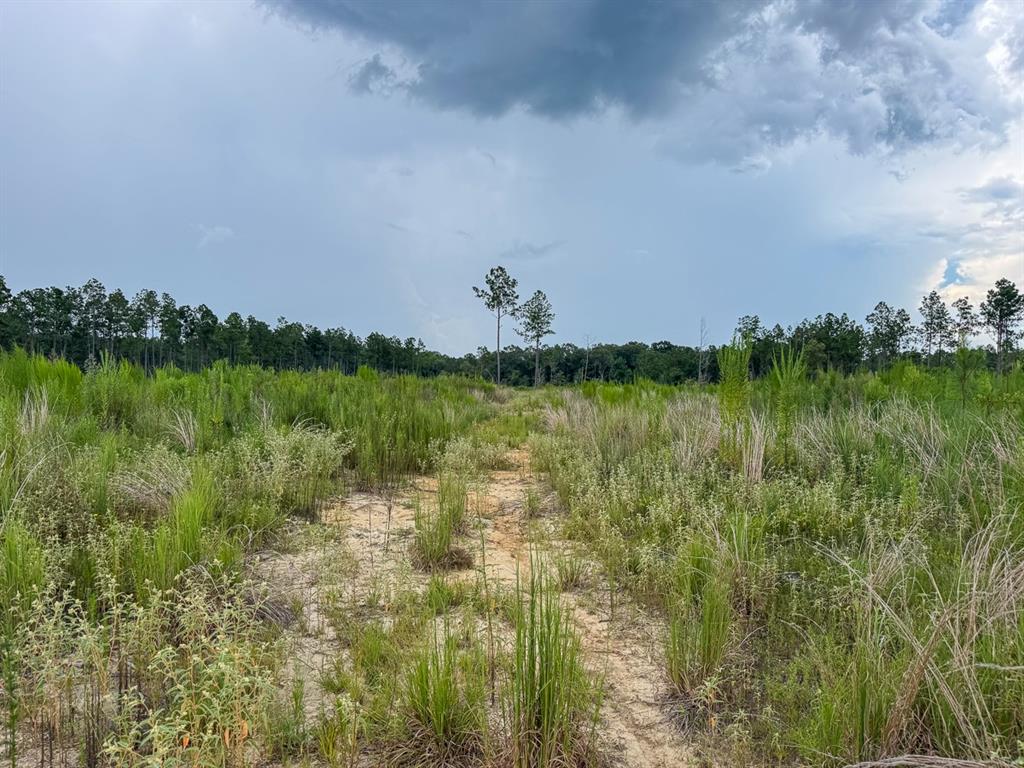 T-3 T-3 Kelley Road Jena, LA 71342 - Photo 8 of 21 a view of a lake with a yard