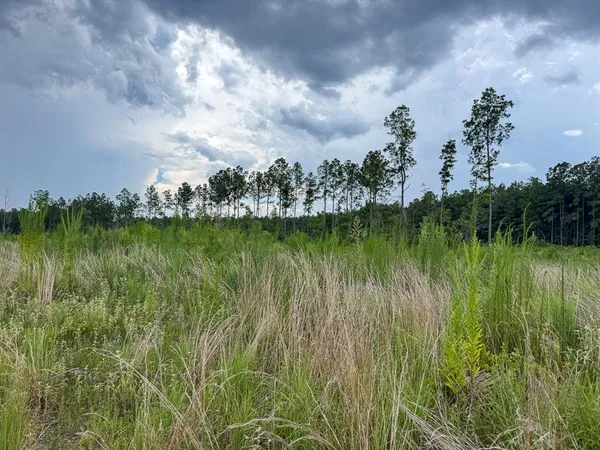 a view of a lake with a big yard