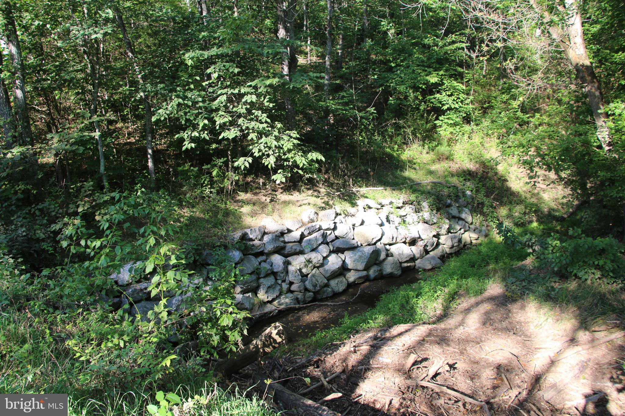 Sulphur Spring Road Middletown, VA 22645 - Photo 13 of 36 a view of a lush green park