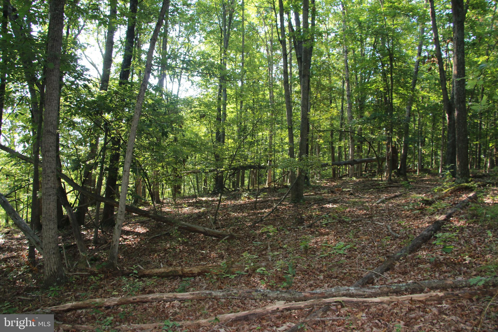 Sulphur Spring Road Middletown, VA 22645 - Photo 14 of 36 a view of outdoor space and trees