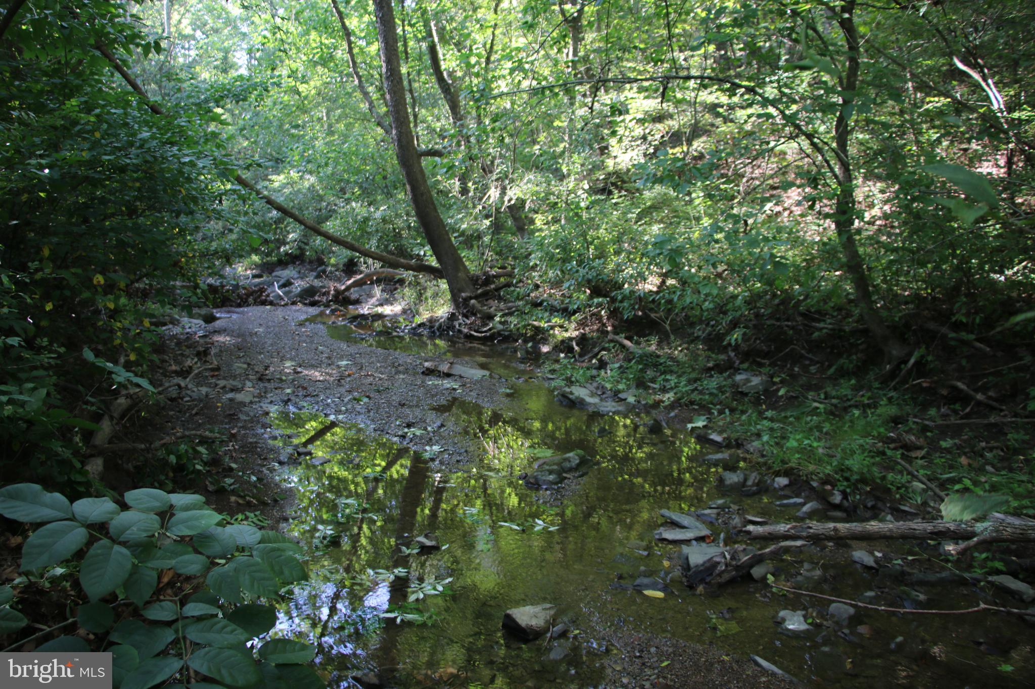 Sulphur Spring Road Middletown, VA 22645 - Photo 15 of 36 a view of a garden with plants and large trees