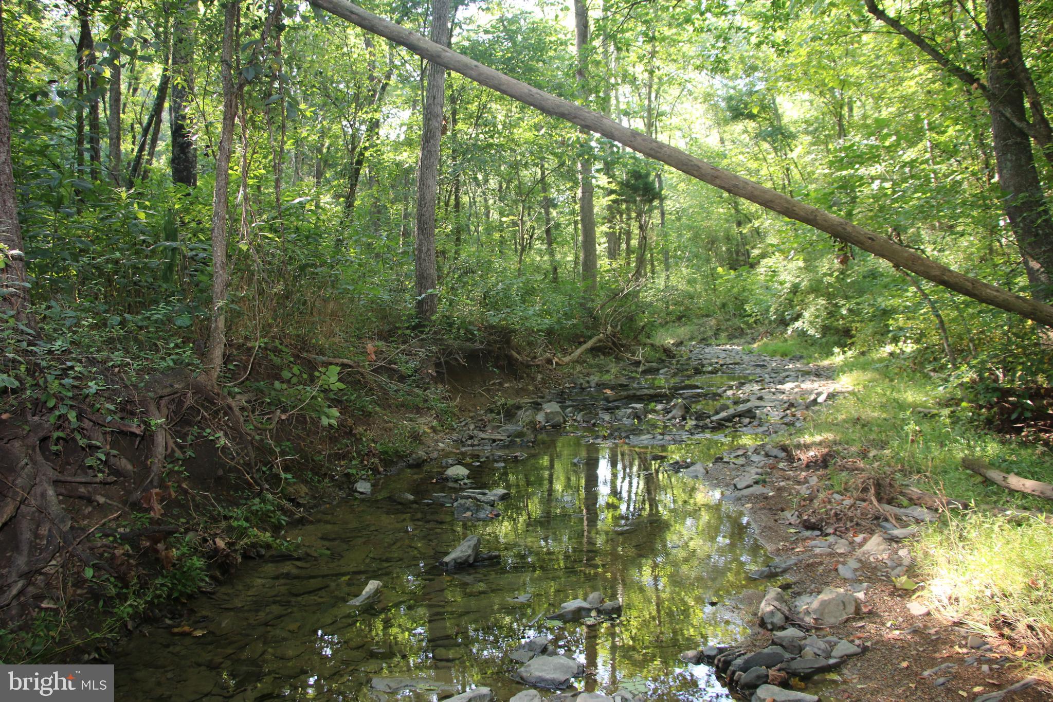 Sulphur Spring Road Middletown, VA 22645 - Photo 17 of 36 a view of a yard with a tree