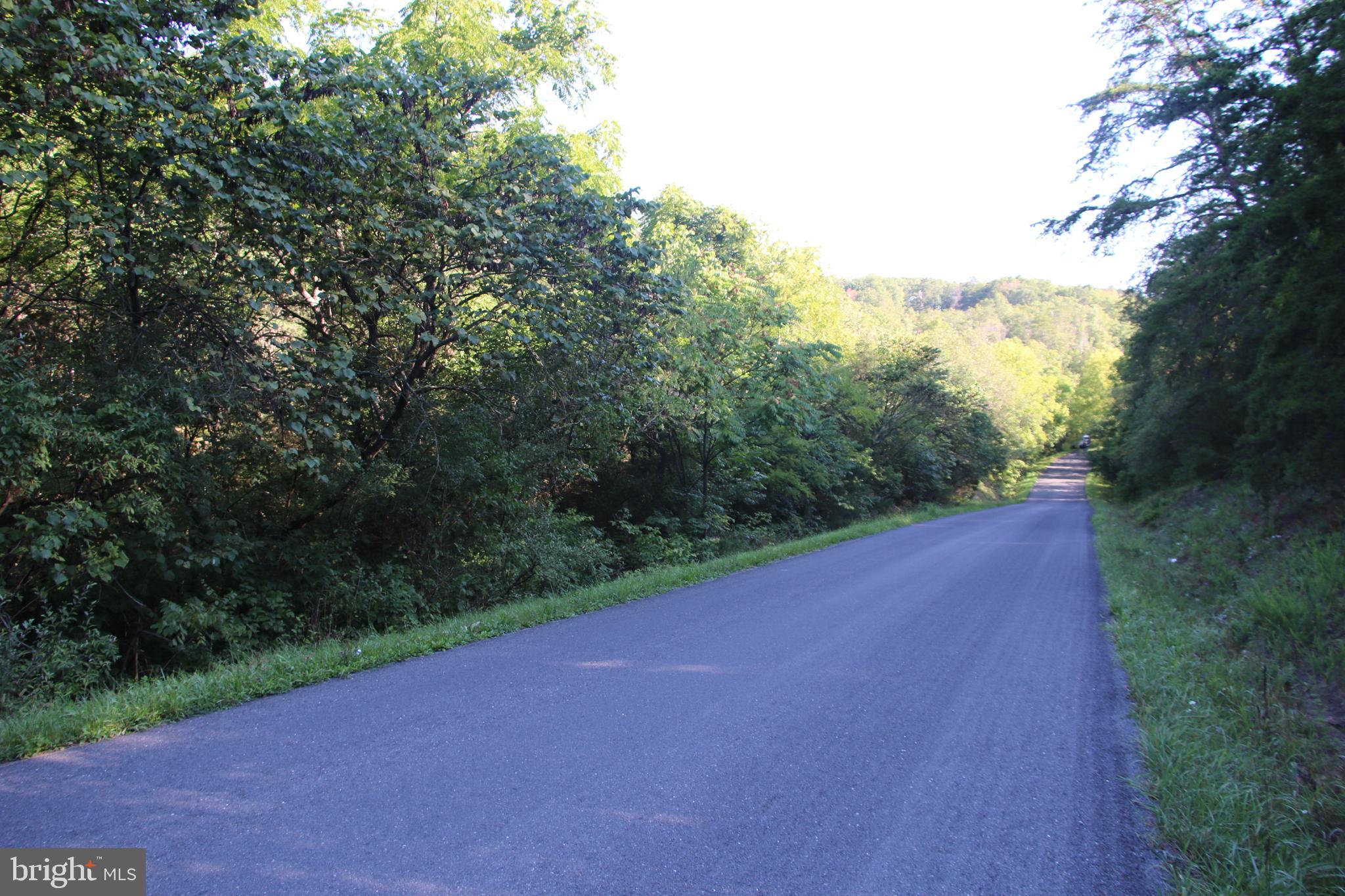 Sulphur Spring Road Middletown, VA 22645 - Photo 2 of 36 a view of a field with a tree