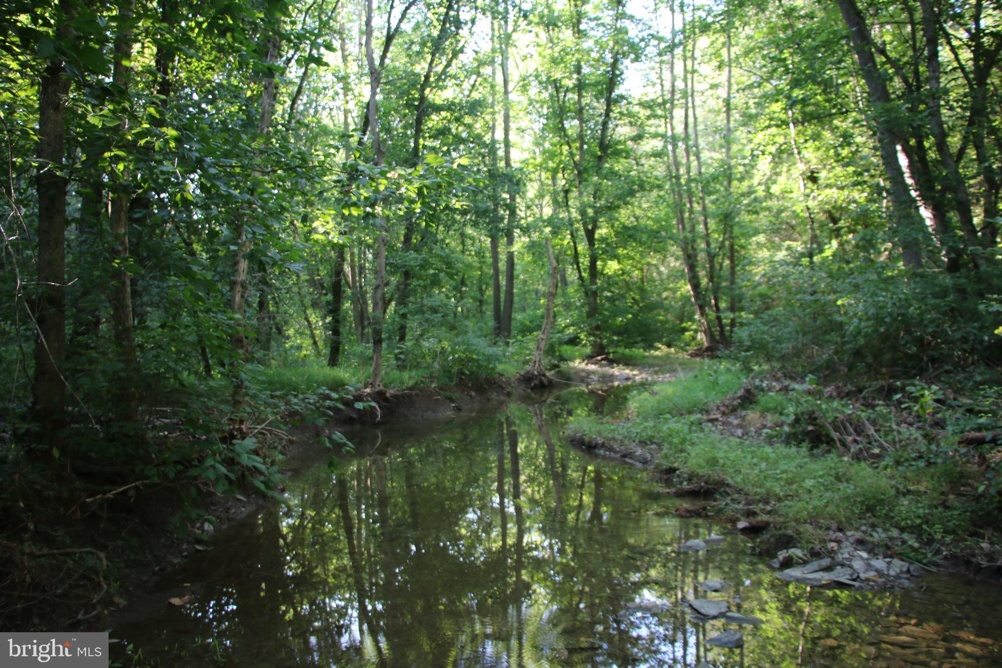 Sulphur Spring Road Middletown, VA 22645 - Photo 21 of 36 a view of a green field with lots of bushes