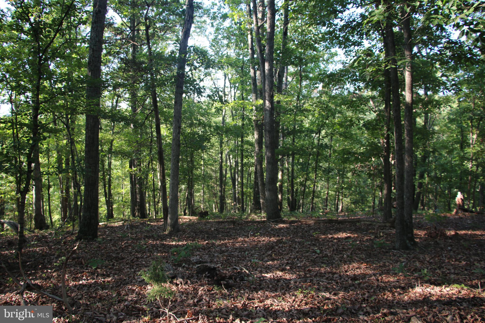 Sulphur Spring Road Middletown, VA 22645 - Photo 22 of 36 a view of outdoor space and green space