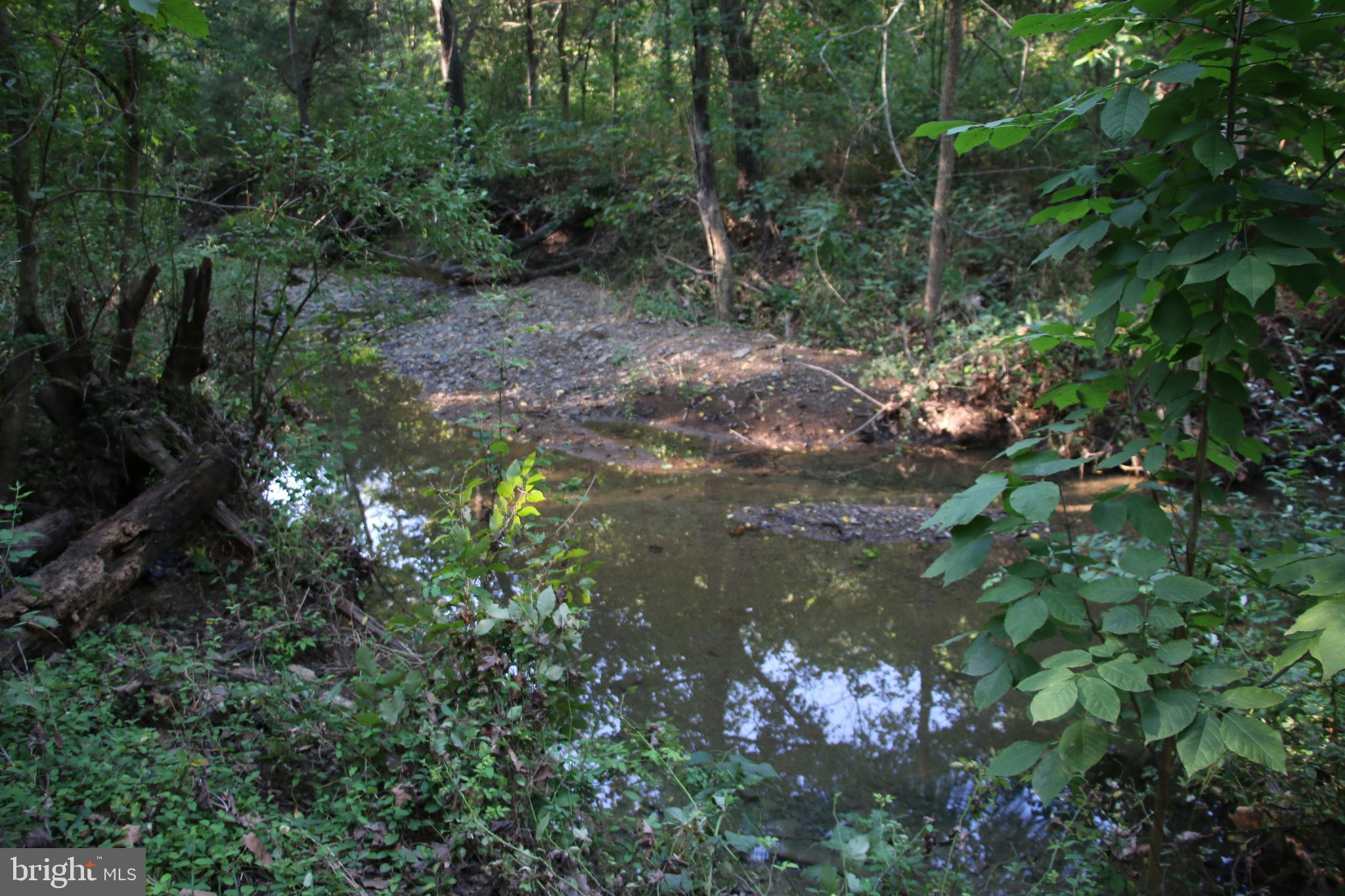 Sulphur Spring Road Middletown, VA 22645 - Photo 23 of 36 a view of a forest with lots of trees