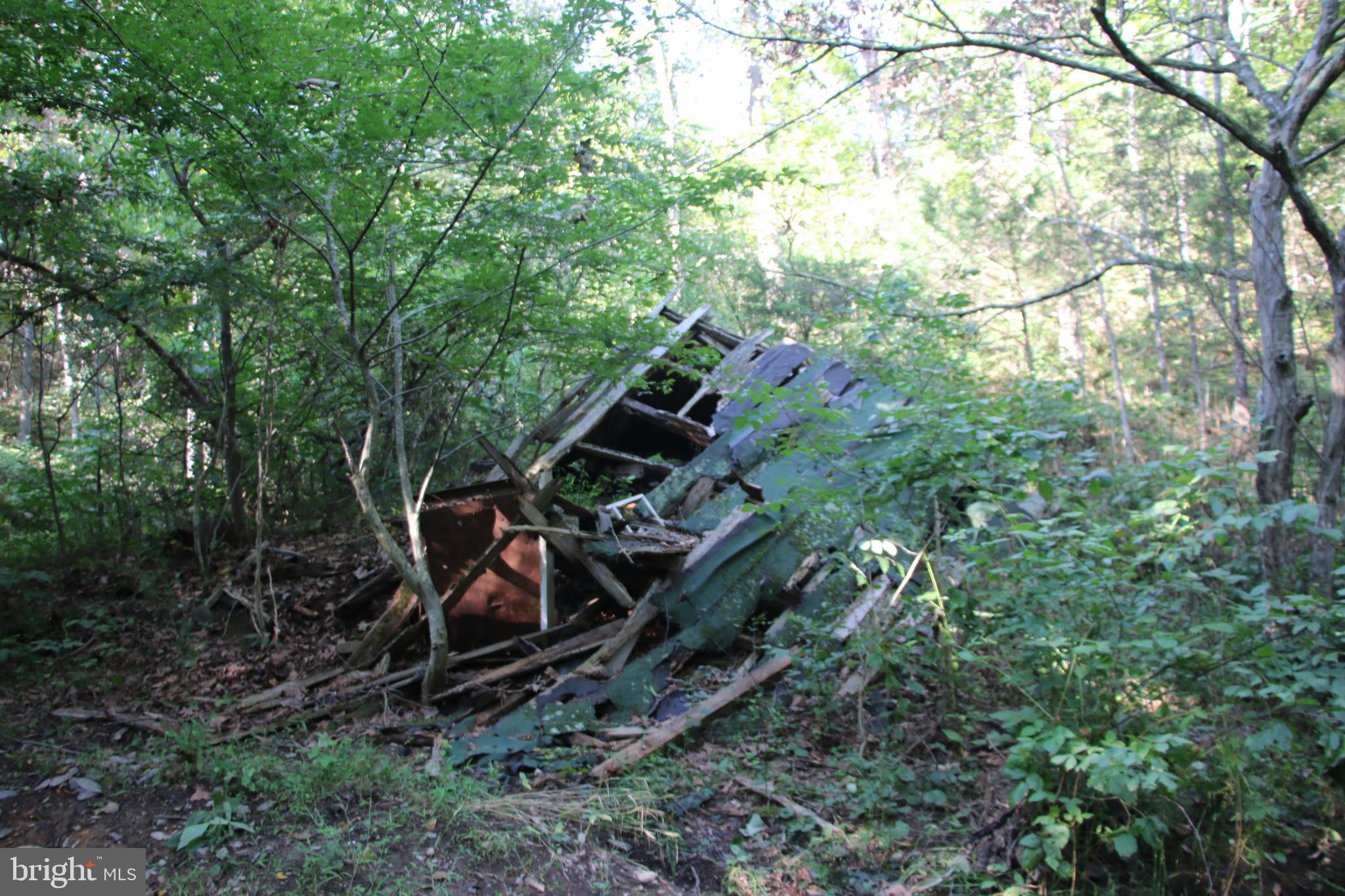 Sulphur Spring Road Middletown, VA 22645 - Photo 27 of 36 a view of a house with a forest