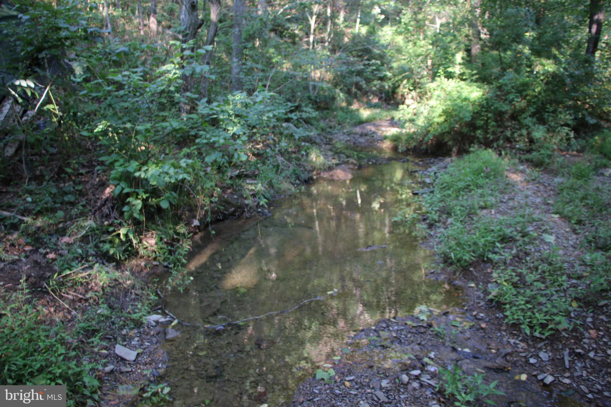 Sulphur Spring Road Middletown, VA 22645 - Photo 29 of 36 a view of a forest with lots of trees