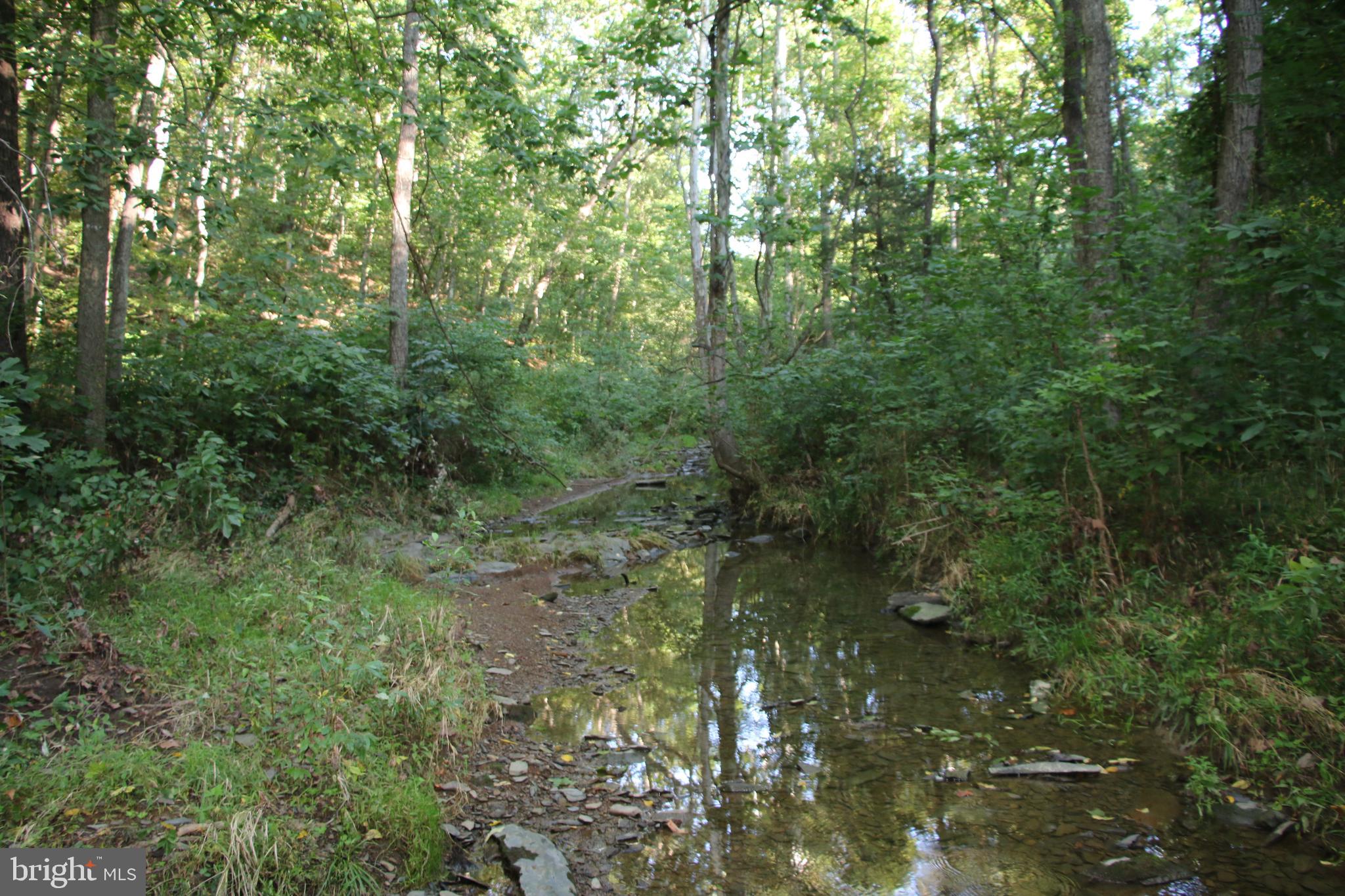 Sulphur Spring Road Middletown, VA 22645 - Photo 7 of 36 a view of a forest