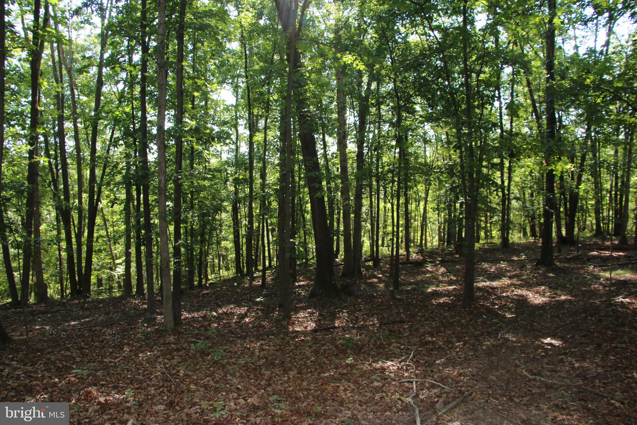 Sulphur Spring Road Middletown, VA 22645 - Photo 8 of 36 a view of outdoor space and trees