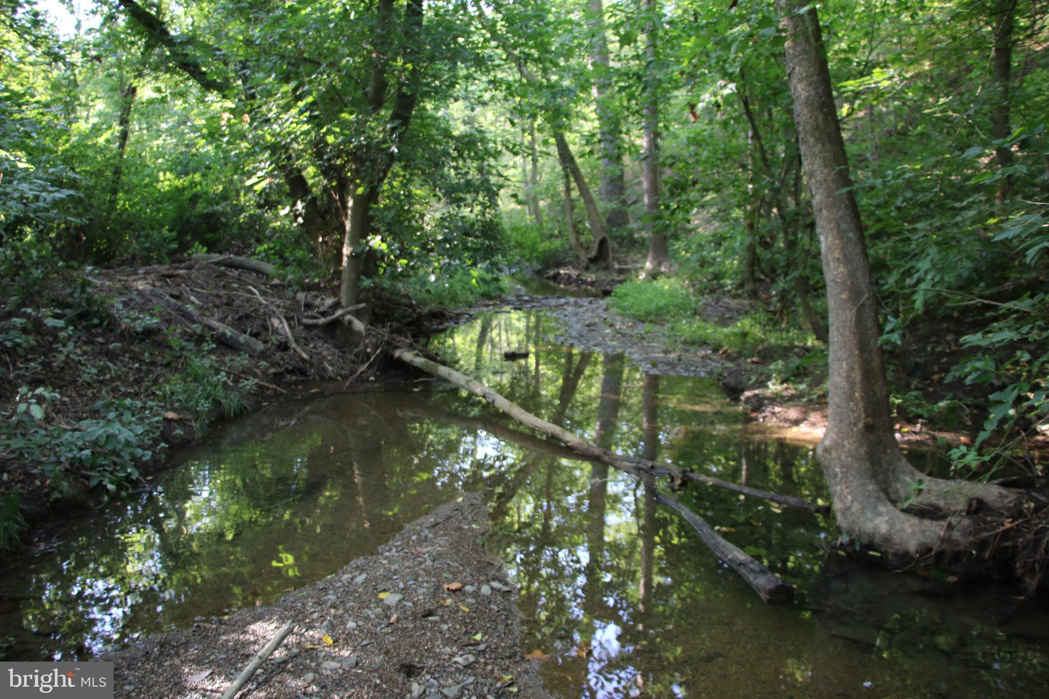 Sulphur Spring Road Middletown, VA 22645 - Photo 9 of 36 a backyard of a house with lots of green space