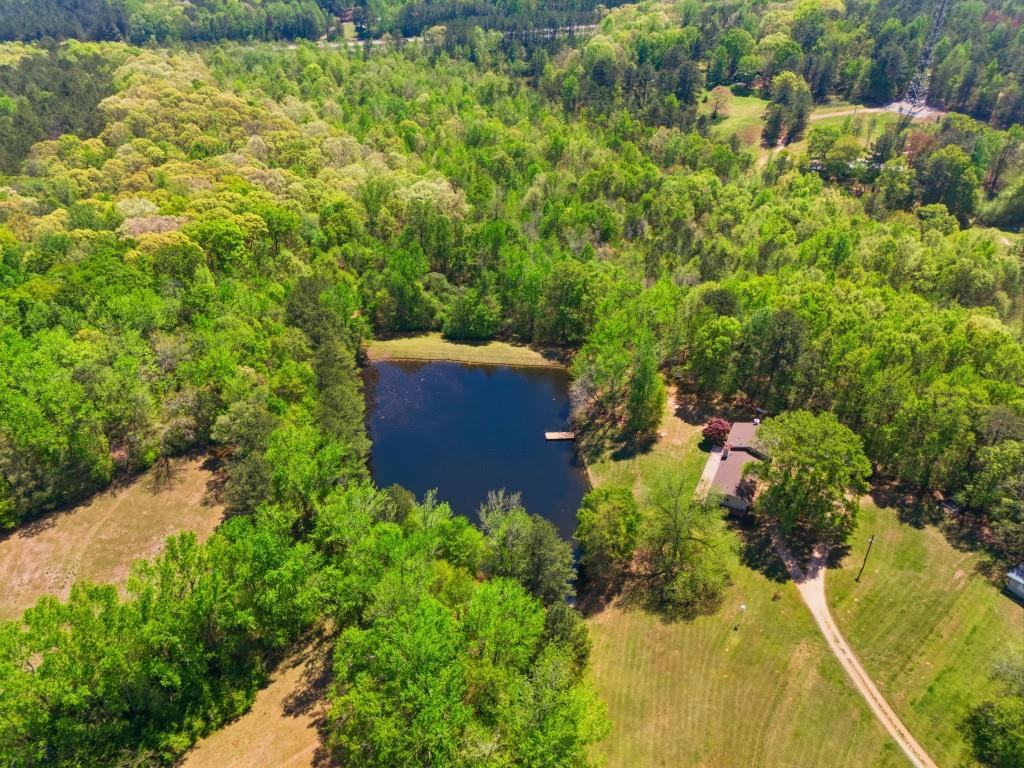 224 Old Franklin Street Roopville, GA 30170 - Photo 41 of 60