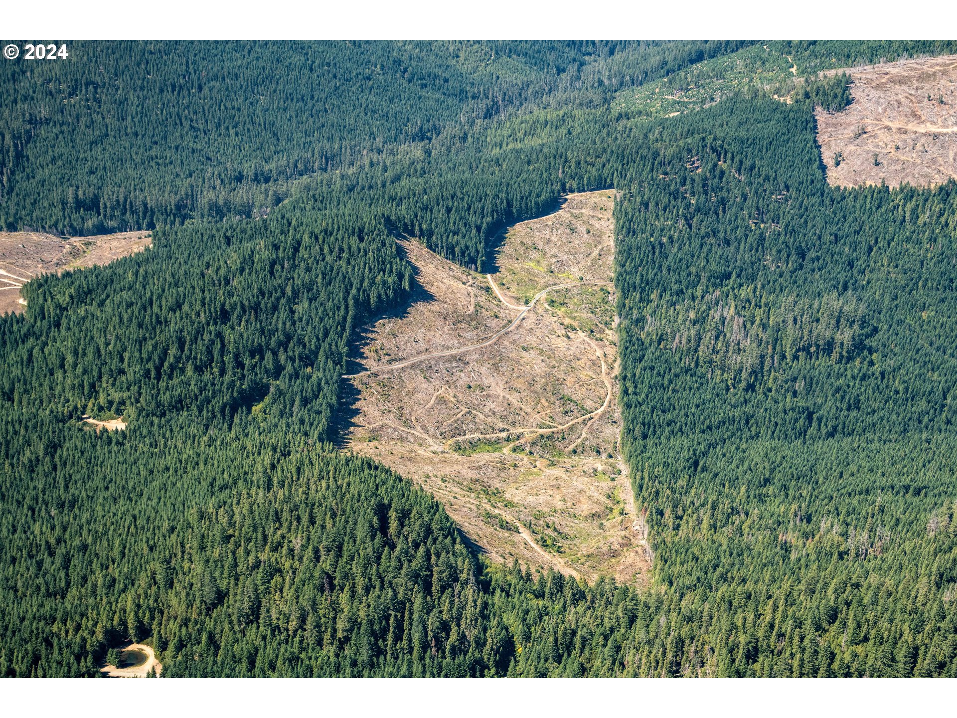 Cedar Flat Road Williams, OR 97544 - Photo 1 of 3 Gallery Image 1