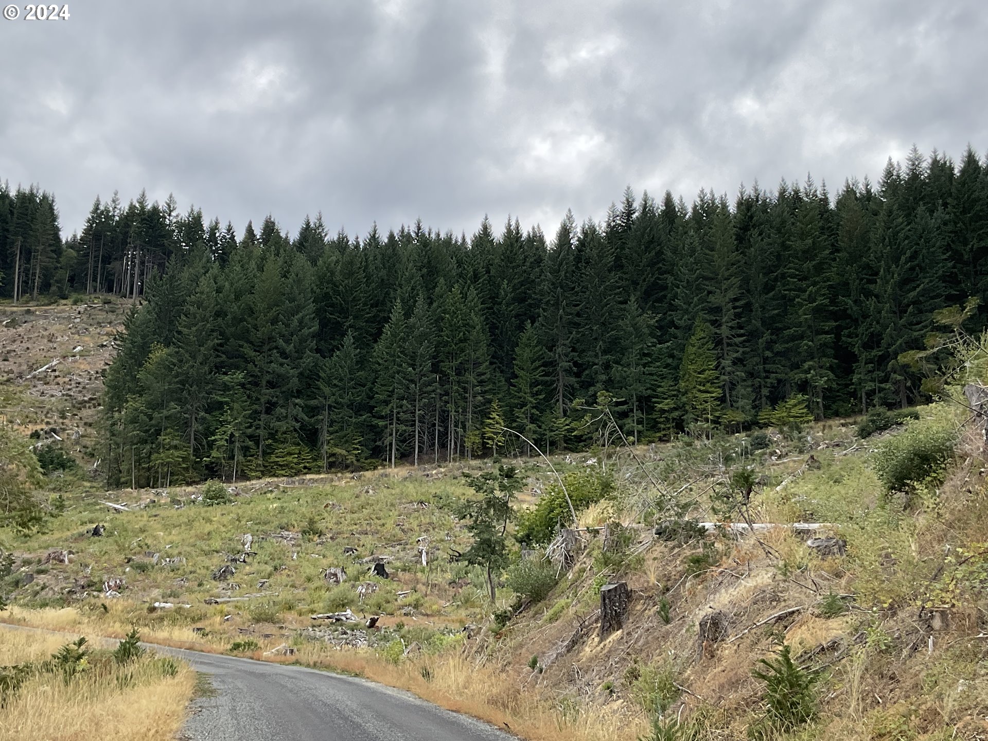 Cedar Flat Road Williams, OR 97544 - Photo 2 of 3 Gallery Image 2