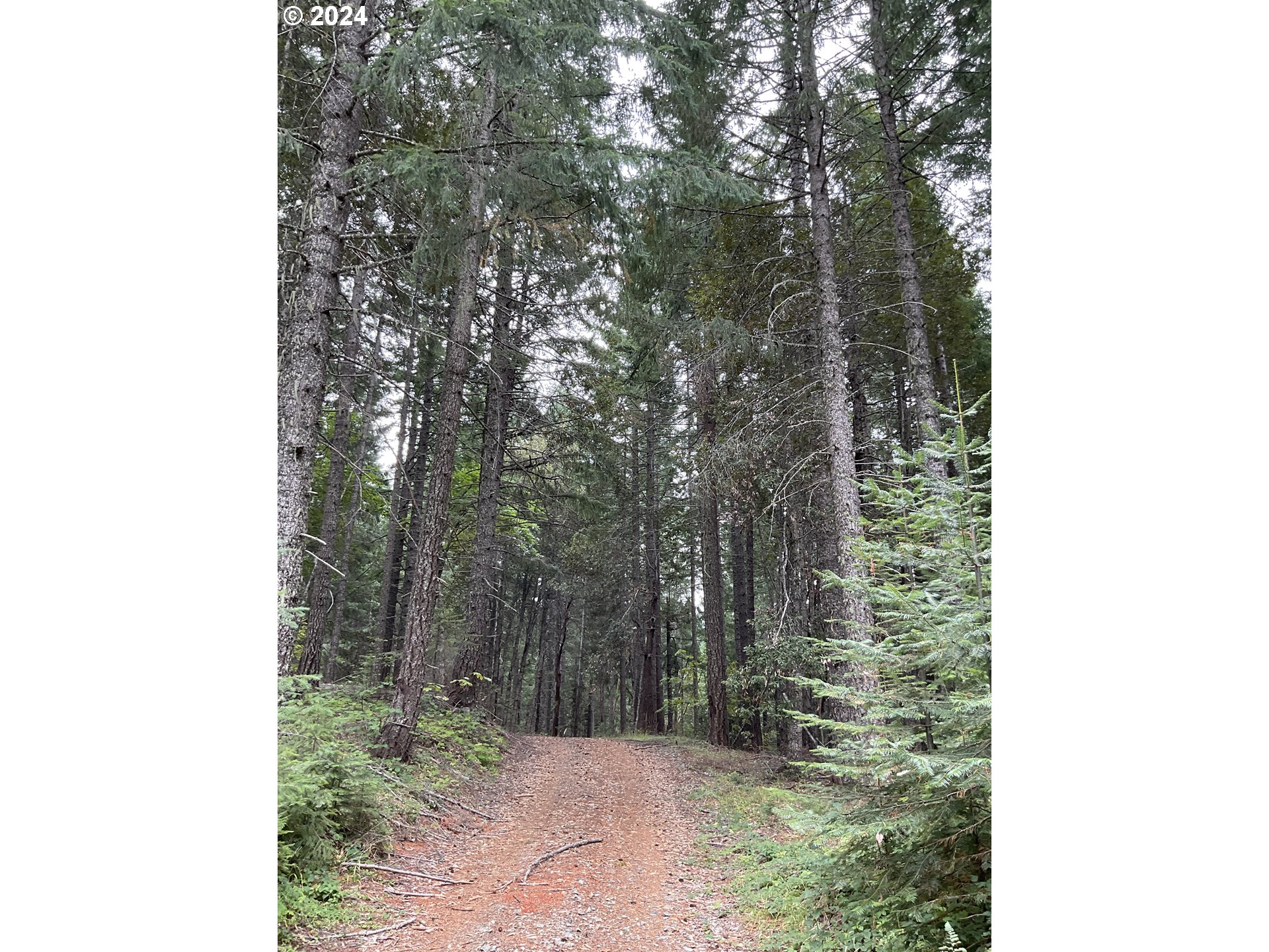 Cedar Flat Road Williams, OR 97544 - Photo 3 of 3 Gallery Image 3