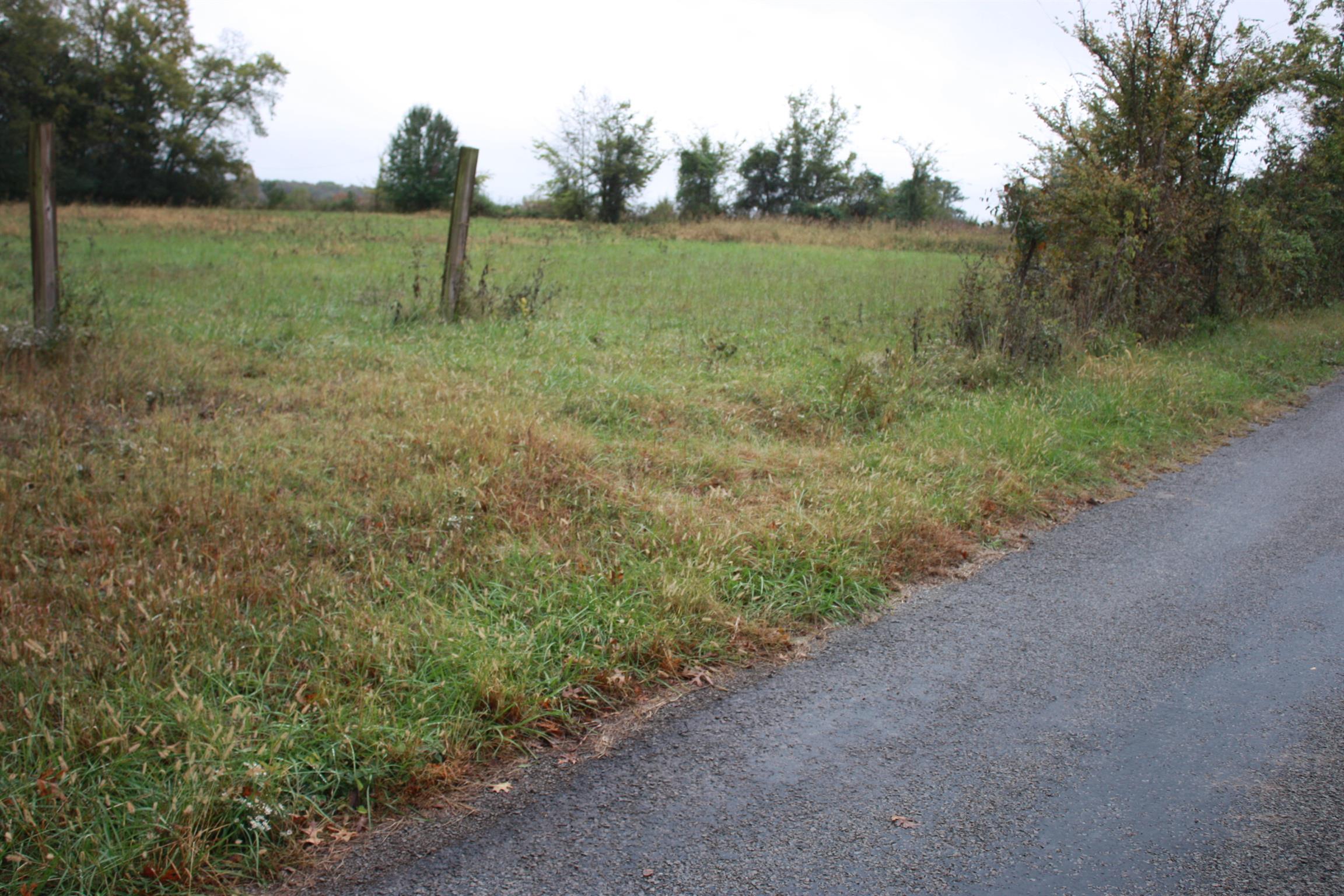0 Gold Road Lewisburg, TN 37091 - Photo 1 of 4 Gallery Image 1
