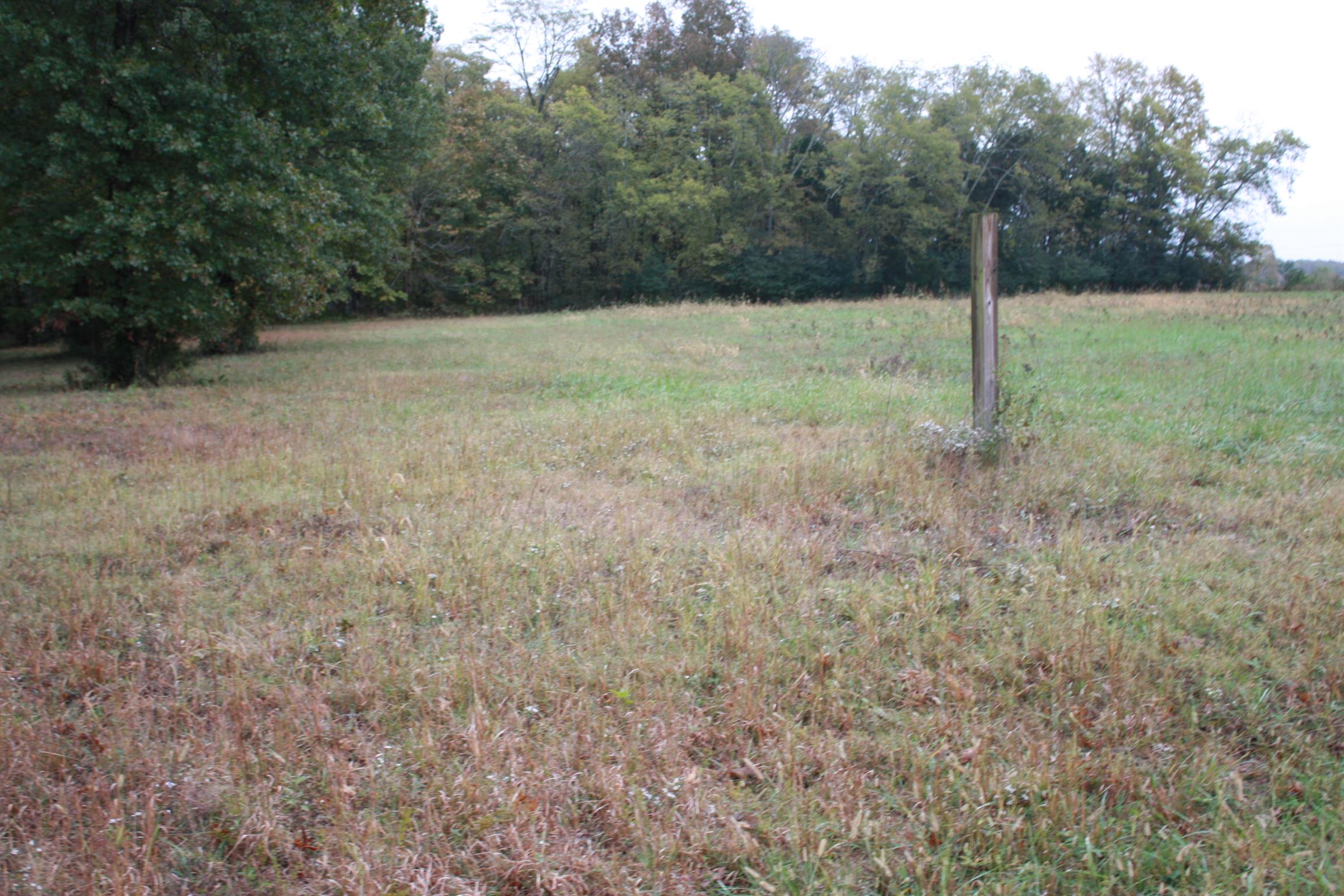 0 Gold Road Lewisburg, TN 37091 - Photo 3 of 4 Gallery Image 3