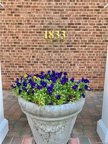 a view of a fruit basket