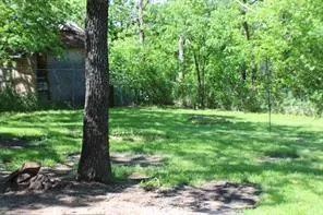 a view of a trees with a yard