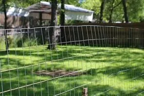 a view of a yard with swimming pool