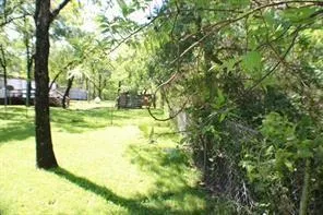 a view of swimming pool with trees