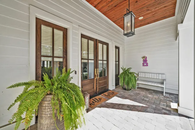a potted plant sitting in front of a house