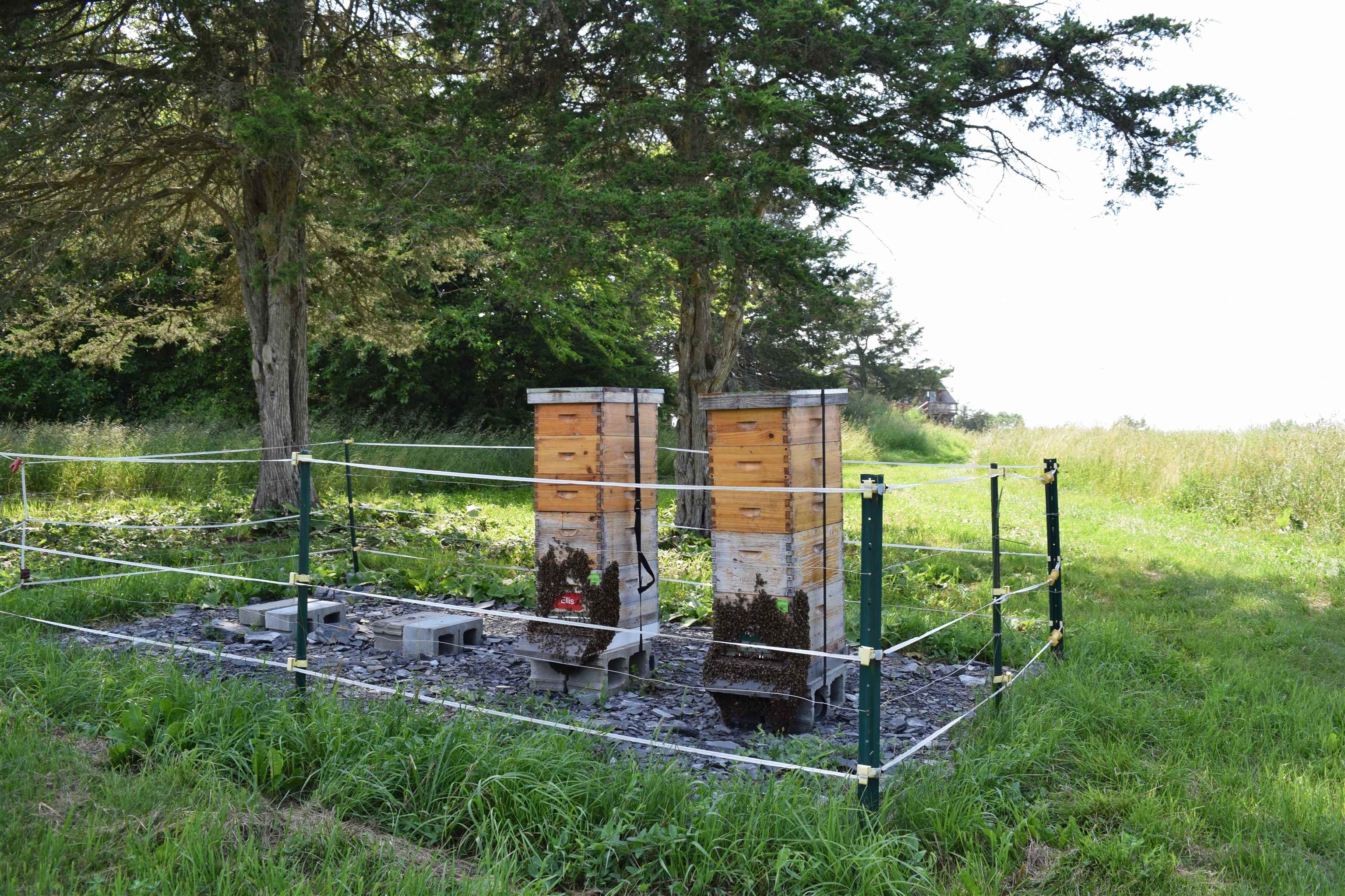 408 Webster Road Ferrisburgh, VT 05491 - Photo 34 of 38