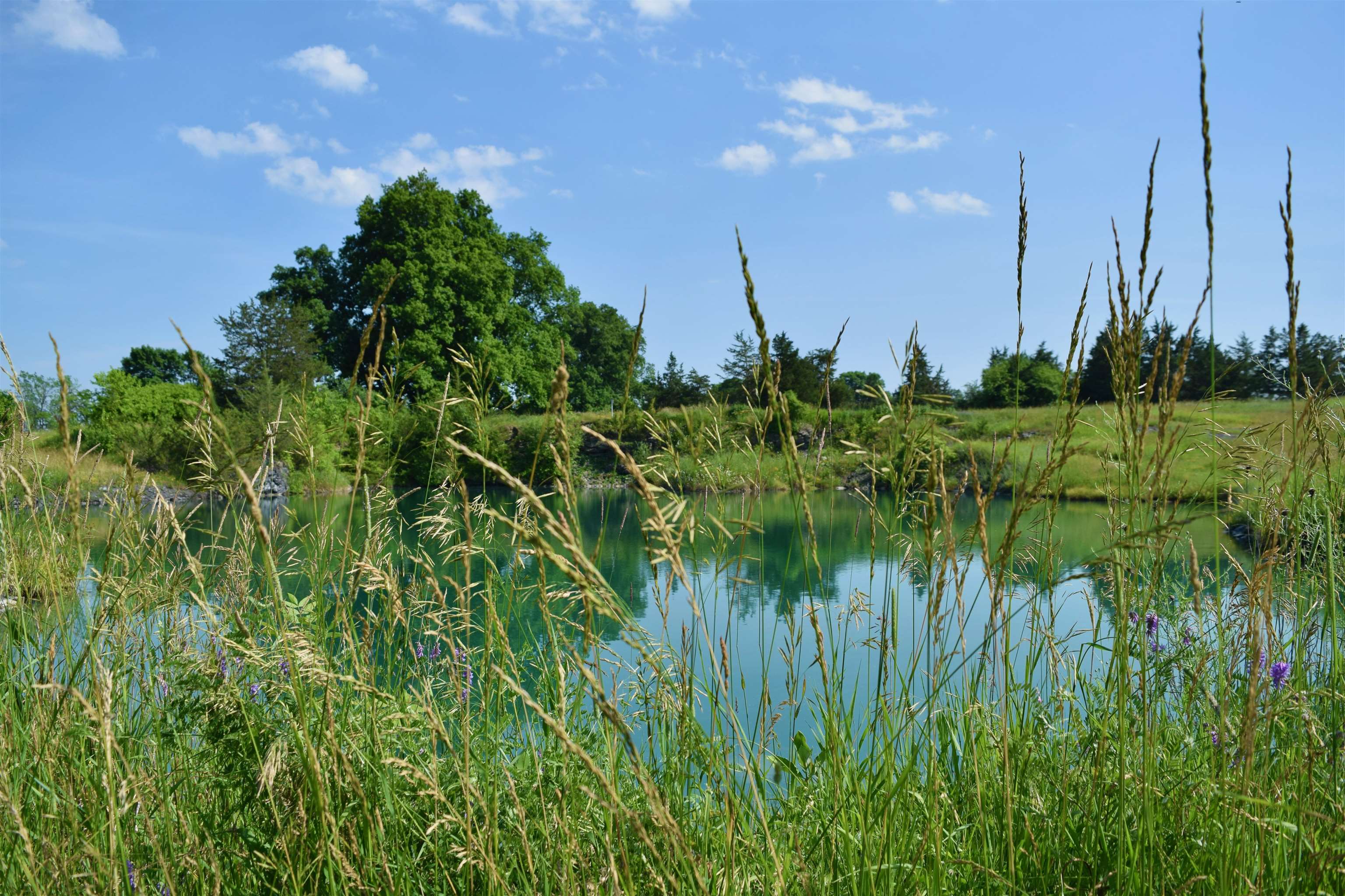 408 Webster Road Ferrisburgh, VT 05491 - Photo 35 of 38