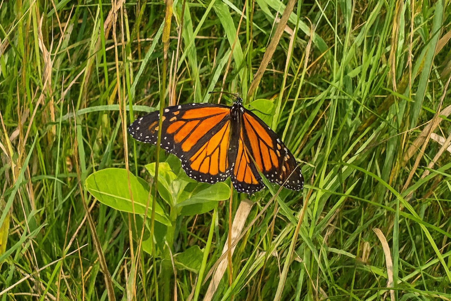408 Webster Road Ferrisburgh, VT 05491 - Photo 37 of 38