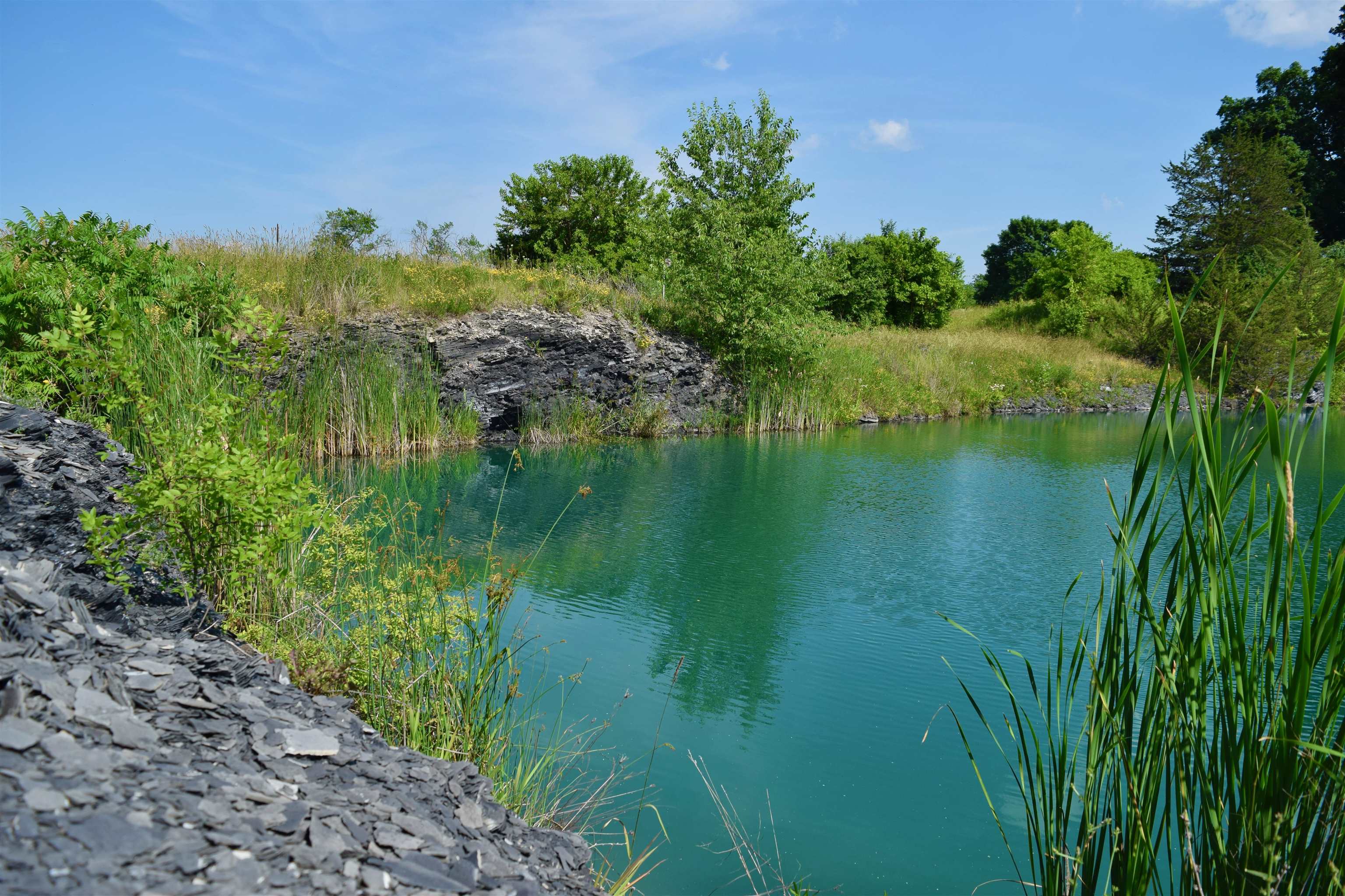 408 Webster Road Ferrisburgh, VT 05491 - Photo 6 of 38