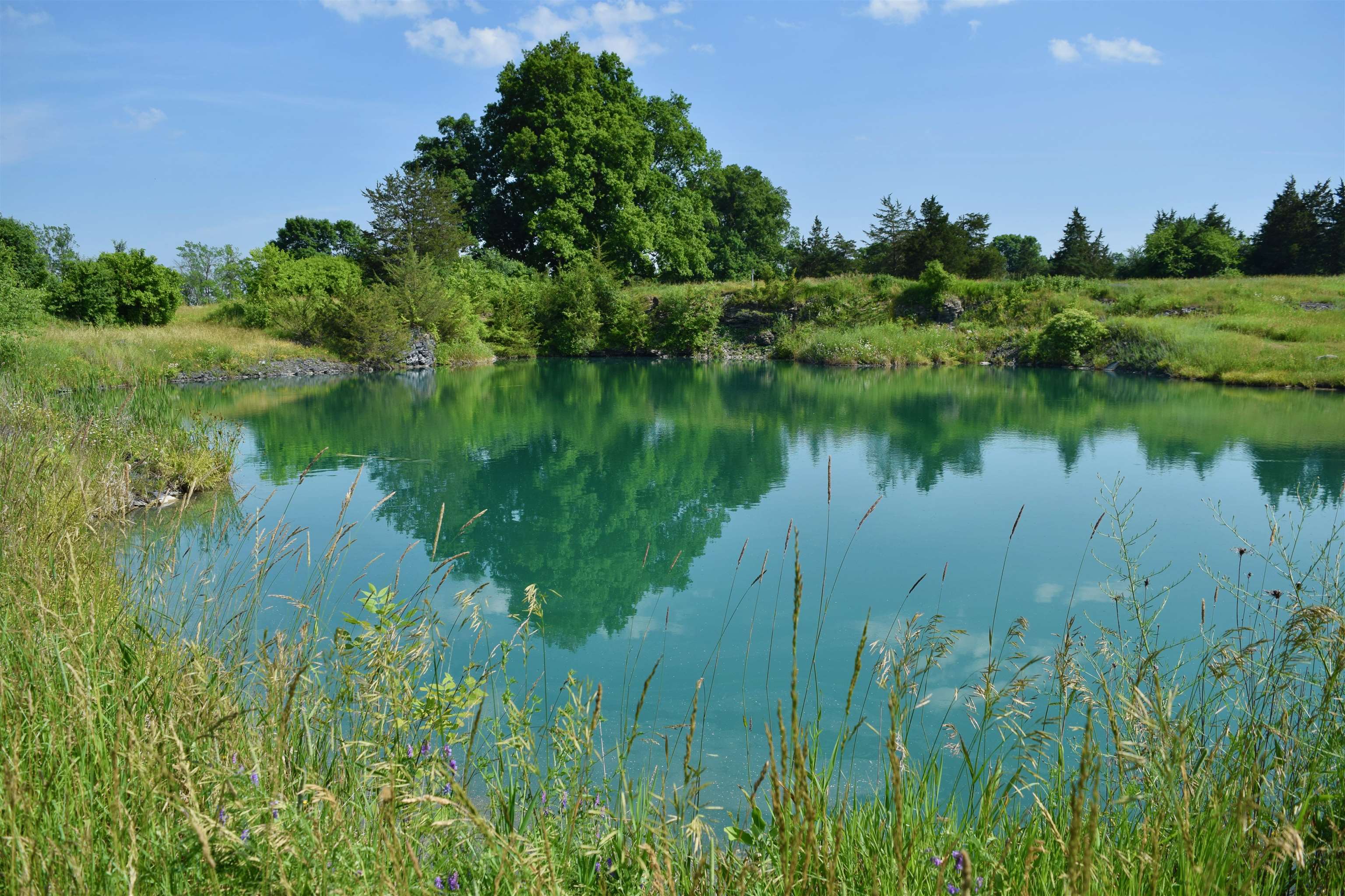 408 Webster Road Ferrisburgh, VT 05491 - Photo 7 of 38