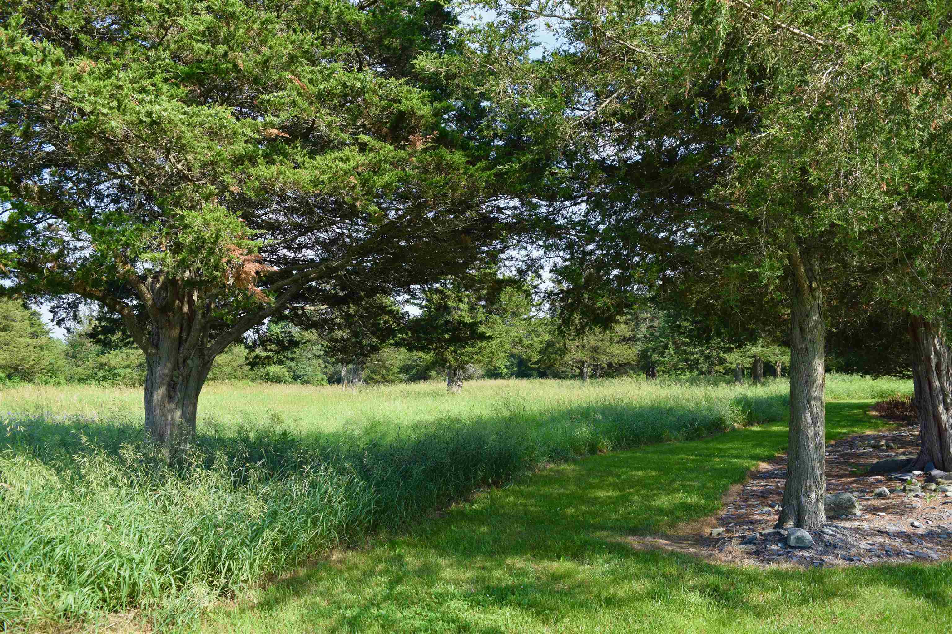 408 Webster Road Ferrisburgh, VT 05491 - Photo 10 of 38