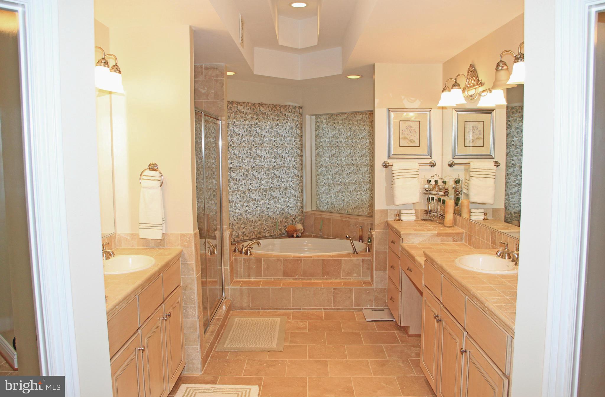 8345 Roxborough Loop Gainesville, VA 20155 - Photo 17 of 30 Lavish Master Bath with Tumbled Marble