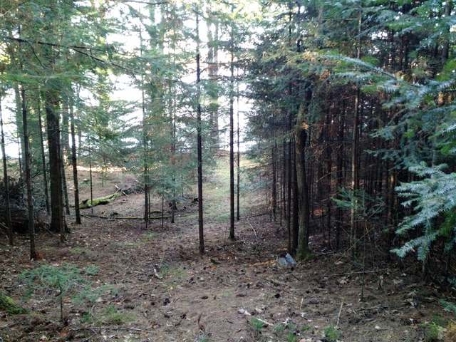 On Shields Road, Unit LOT 1 St. Germain, WI 54558 - Photo 16 of 20 Gallery Image 16