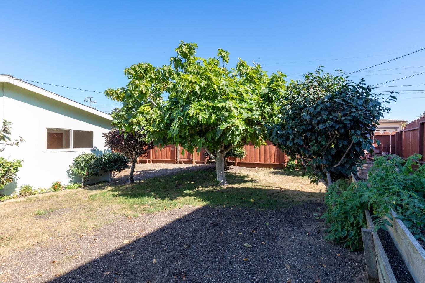 502 Ridgeview Avenue Marina, CA 93933 - Photo 20 of 20 a front view of a house with a garden