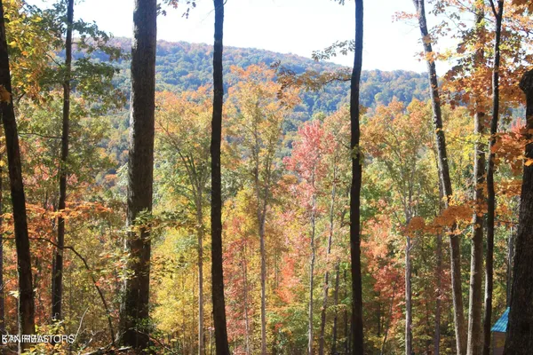 $45,000 | Cheyenne Drive, Jamestown, TN 38556