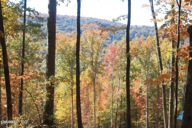 $45,000 | Cheyenne Drive, Jamestown, TN 38556