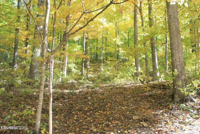 $45,000 | Cheyenne Drive, Jamestown, TN 38556