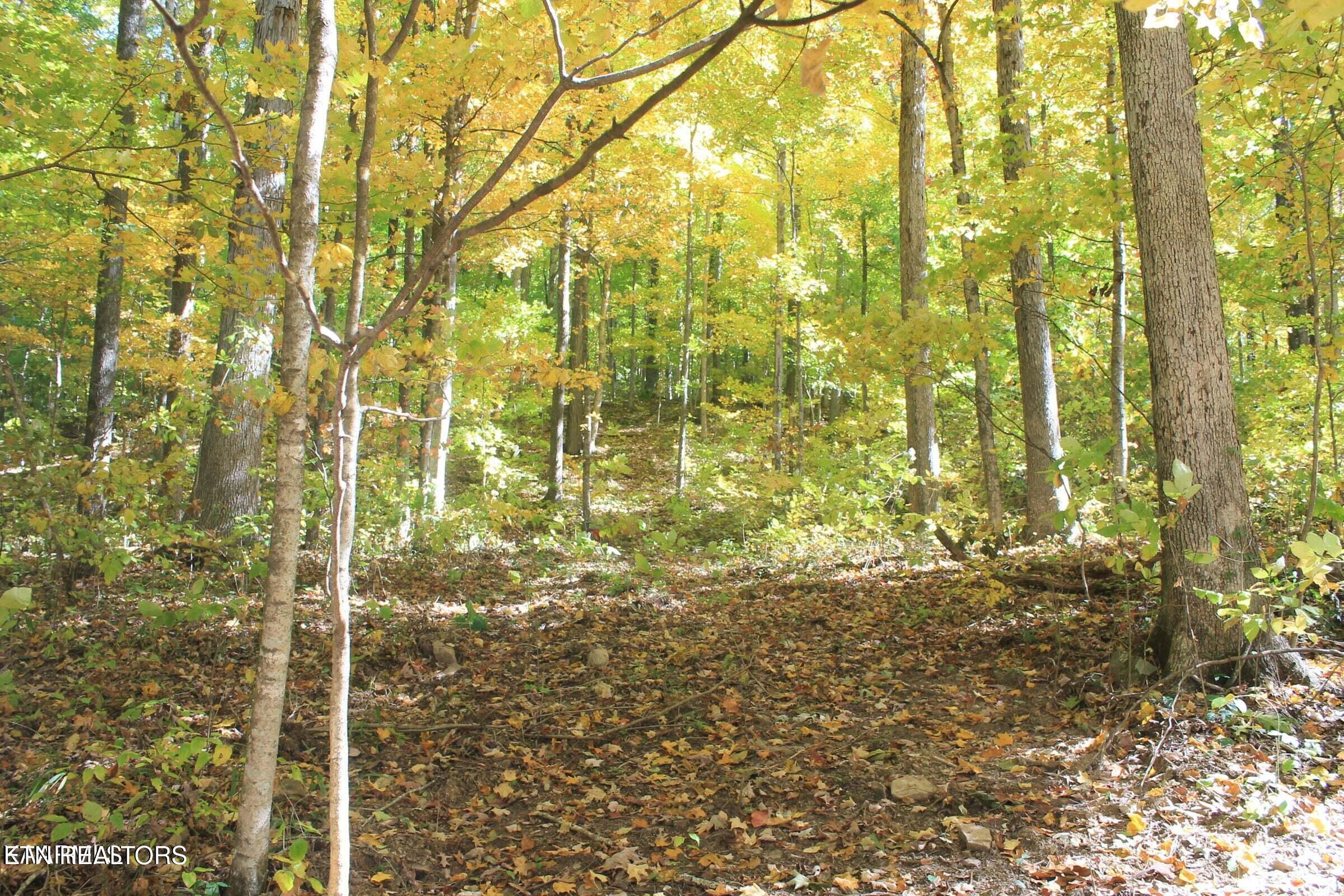 Cheyenne Drive Jamestown, TN 38556 - Photo 2 of 6 lot 34 6