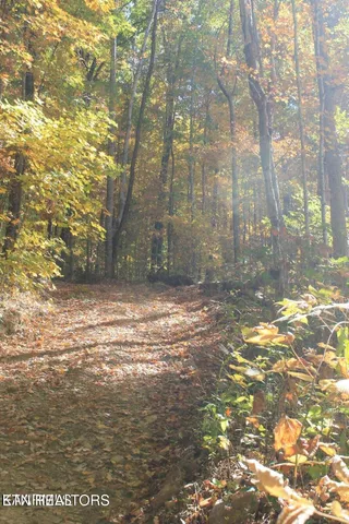 $45,000 | Cheyenne Drive, Jamestown, TN 38556