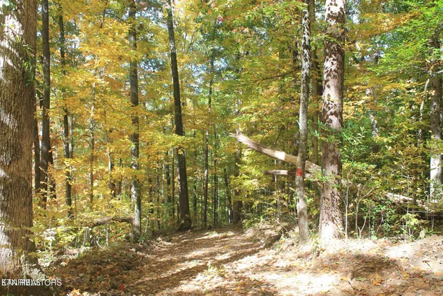 $45,000 | Cheyenne Drive, Jamestown, TN 38556