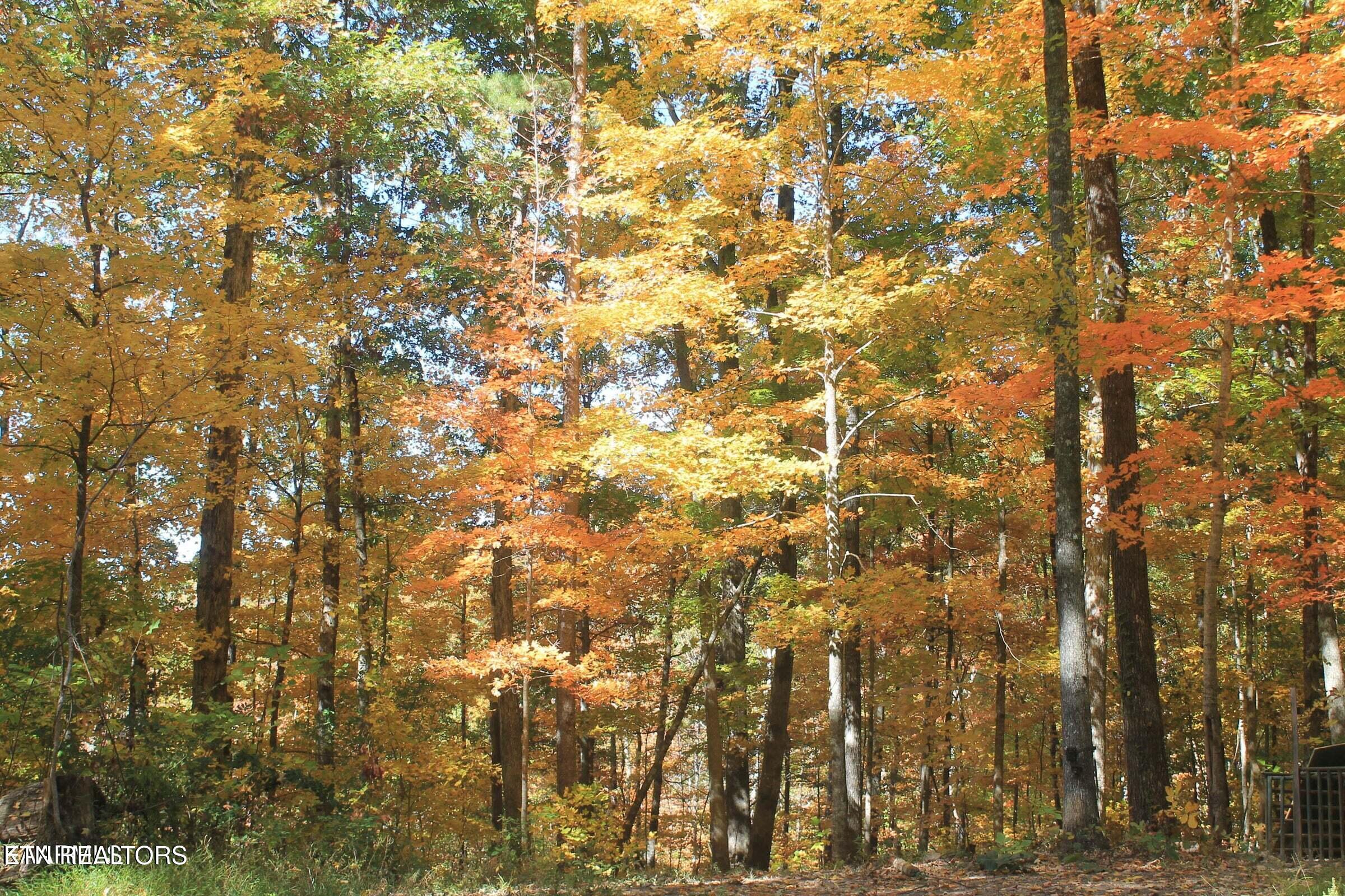 Cheyenne Drive Jamestown, TN 38556 - Photo 6 of 6 lot 34 2