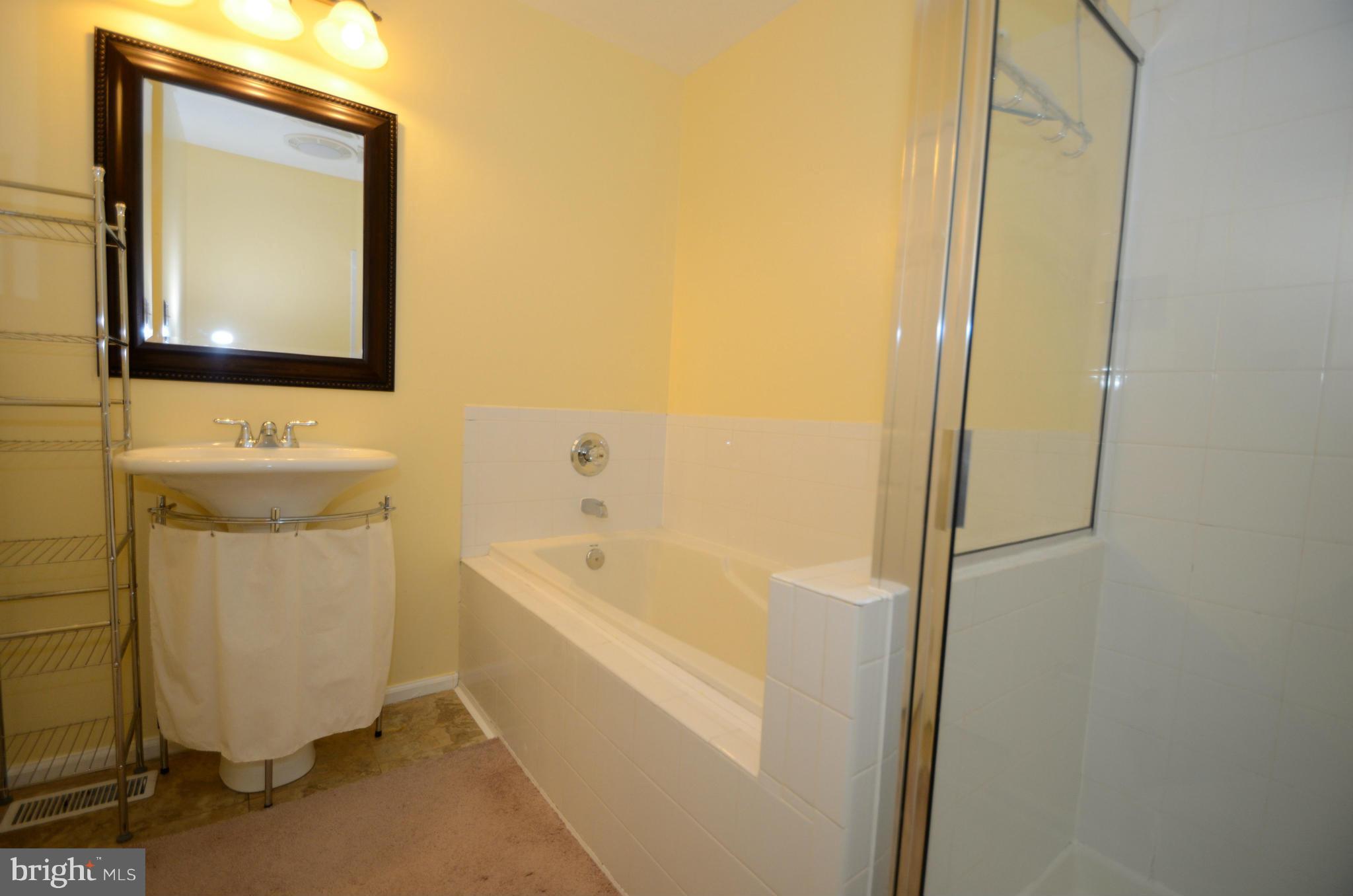 6358 Wind Rider Way Columbia, MD 21045 - Photo 18 of 23 Bath (Master)