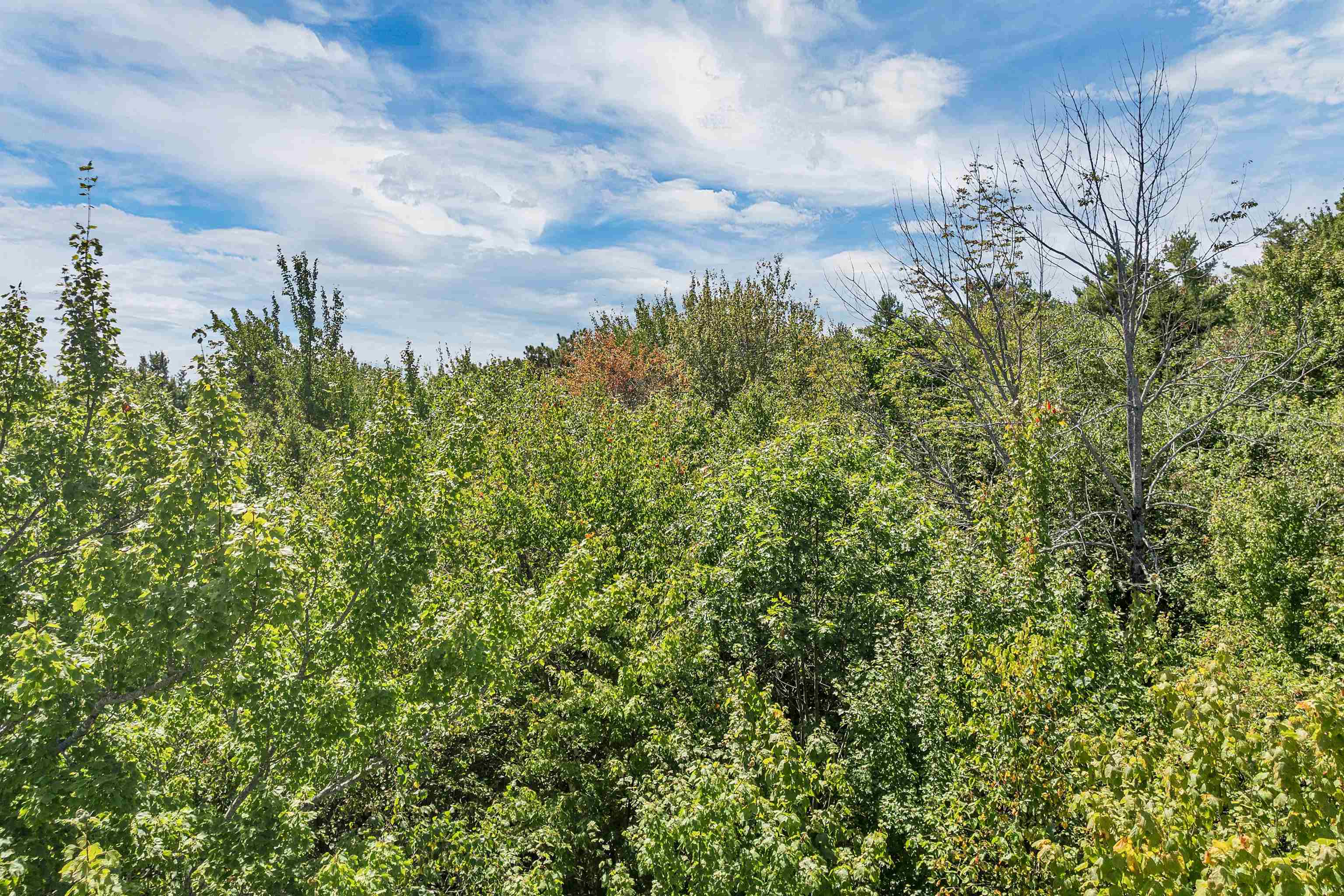 25 Upper Trask Mountain Road, Unit 6 Wolfeboro, NH 03894 - Photo 17 of 27